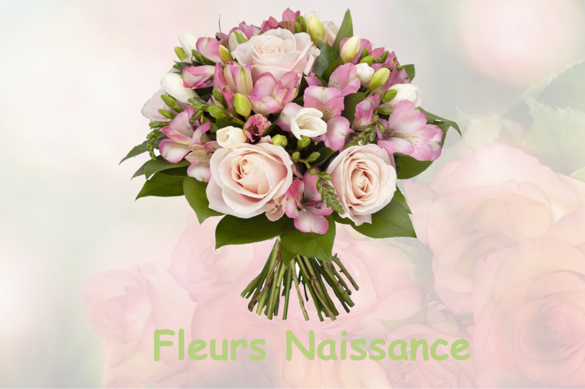 fleurs naissance SAINT-CRICQ-VILLENEUVE