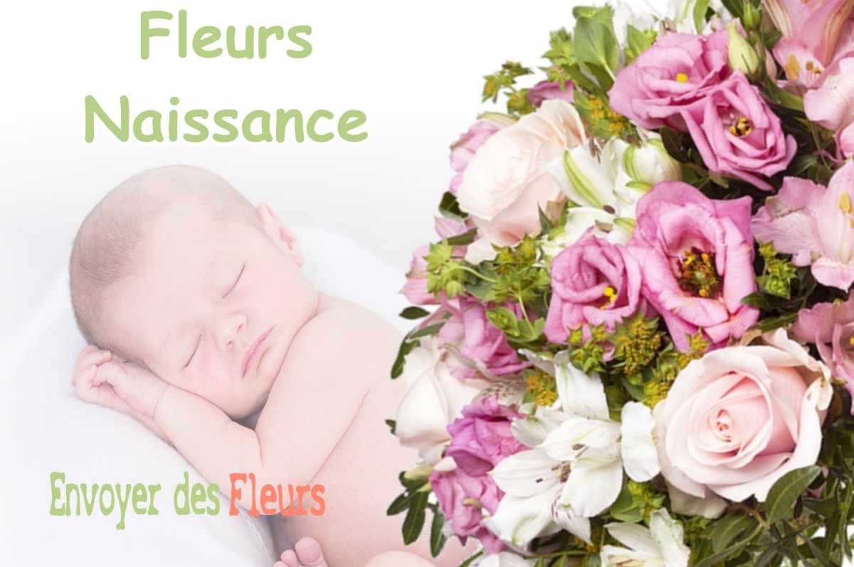 lIVRAISON FLEURS NAISSANCE à SAINT-CRICQ-VILLENEUVE